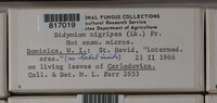 Image Associated With the Occurence